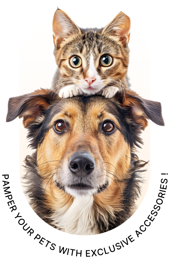 dogcat