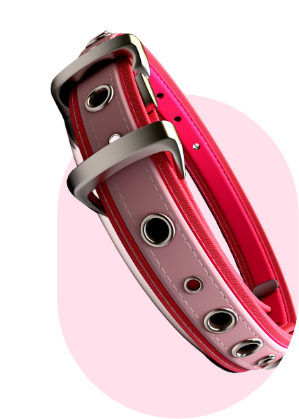 dogNeckBelt