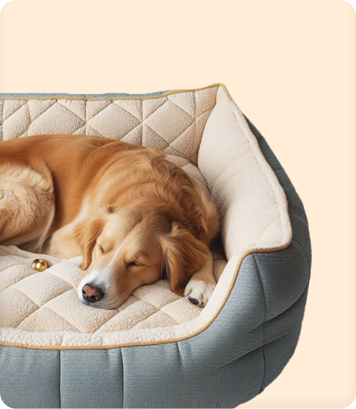 dogsleeping